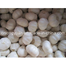 Chinese White Garlic with Good Quality